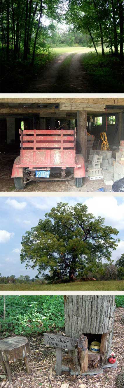 A path through the woods, an old truck, an oak tree and Pooh's Corner at Grass Lake Sanctuary