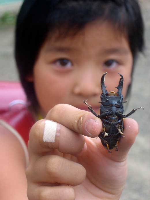 Girl holding a beetle