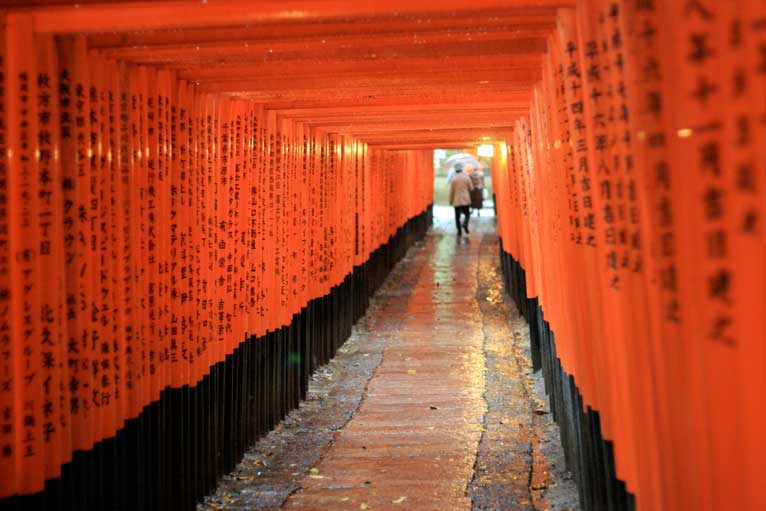 Torii